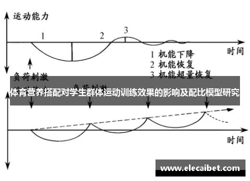 体育营养搭配对学生群体运动训练效果的影响及配比模型研究