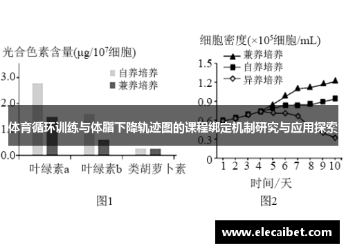体育循环训练与体脂下降轨迹图的课程绑定机制研究与应用探索